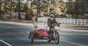 犬を連れてツーリングする時に〇〇するのはあり？ ←絶対にダメ